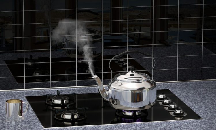 ТОП-25 лучших чайников со свистком для газовой плиты на 2024 год