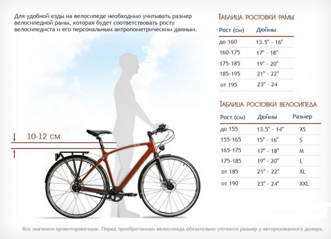 ТОП-30 лучших велосипедов для мужчин на 2024 год