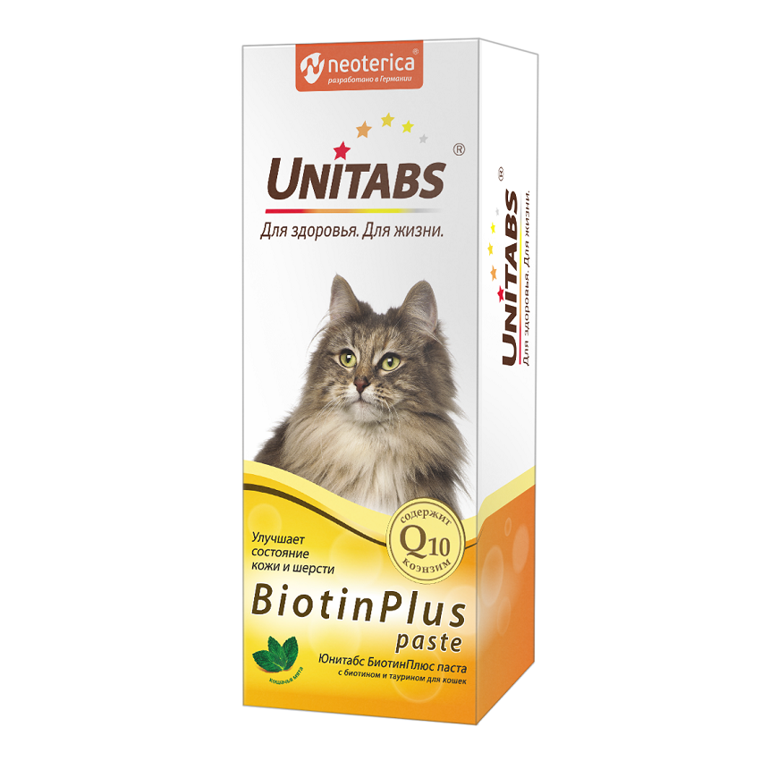 ТОП-15 лучших витаминов для кошек и котов (рейтинг на 2024 год)