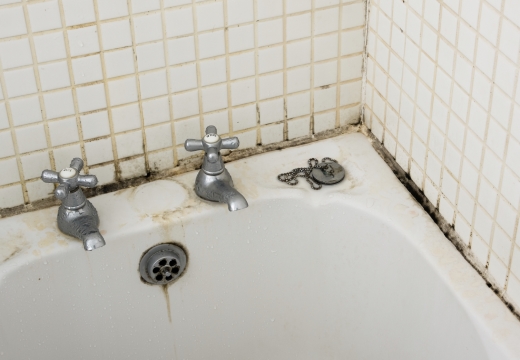 Как избавиться от плесени в ванной: обзор средств