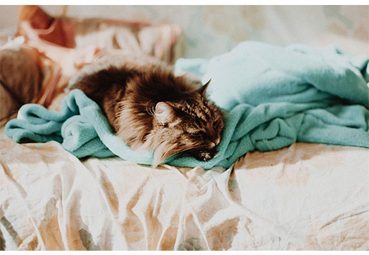 Как стирать одеяло: пошаговая инструкция по стирке и сушке